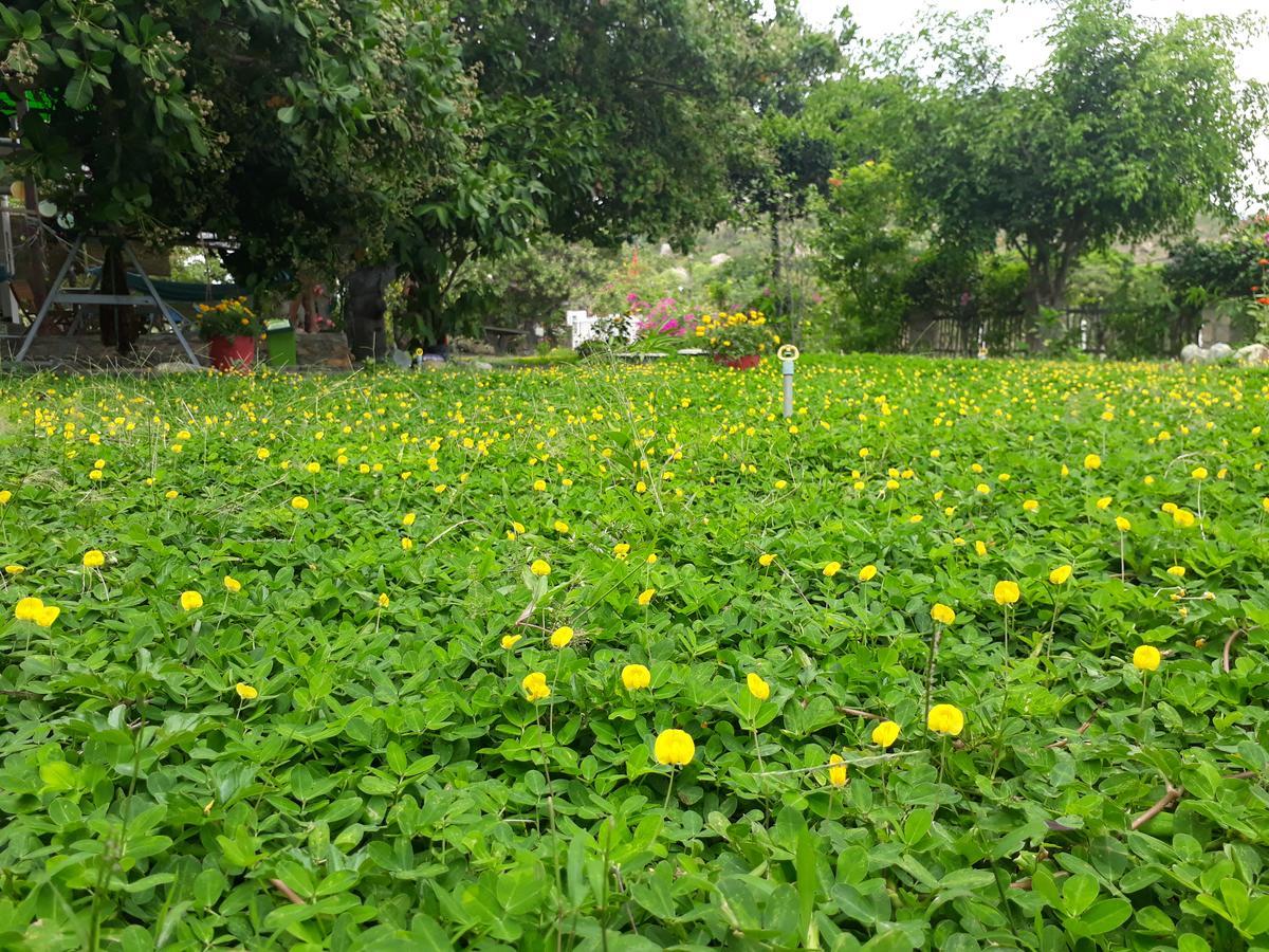 Dao Hoa Vang Villa Cam Ranh Esterno foto