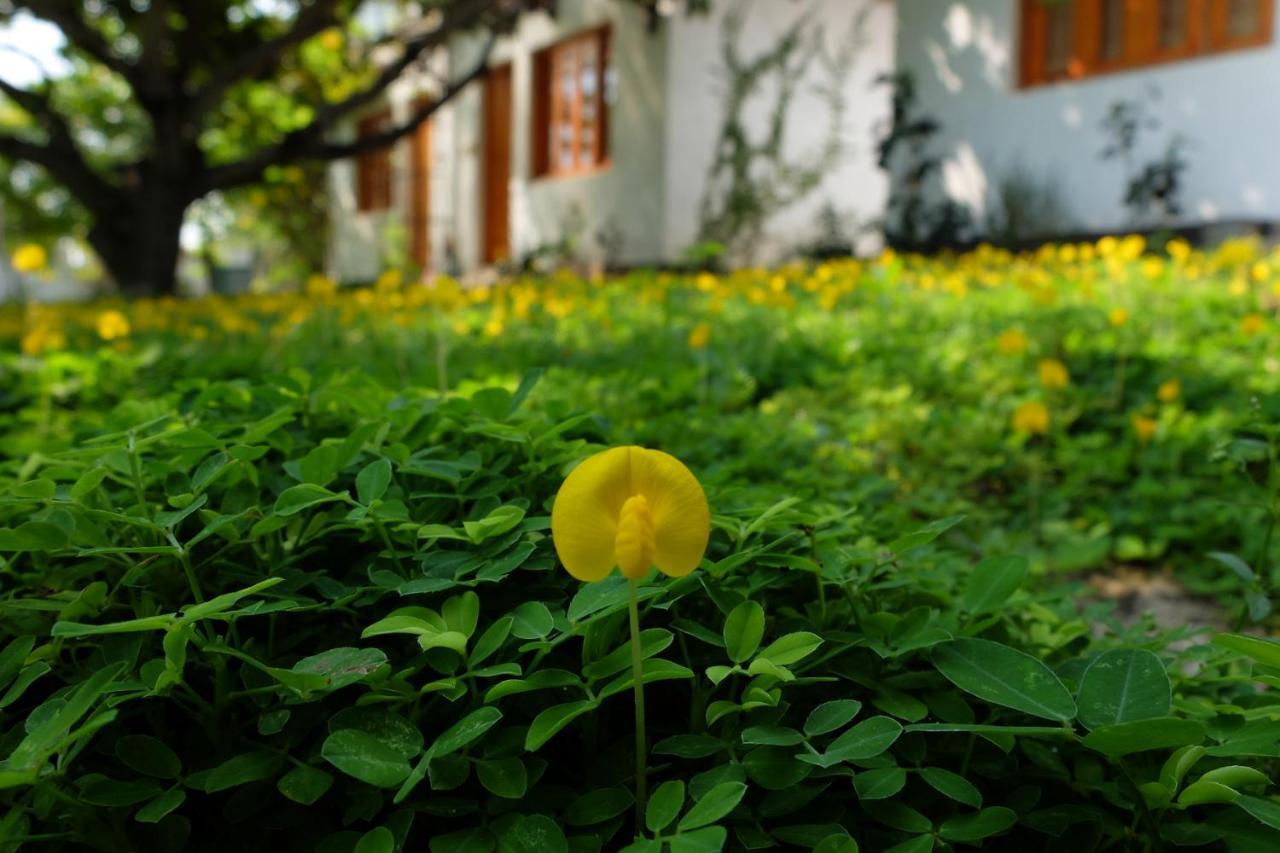 Dao Hoa Vang Villa Cam Ranh Esterno foto