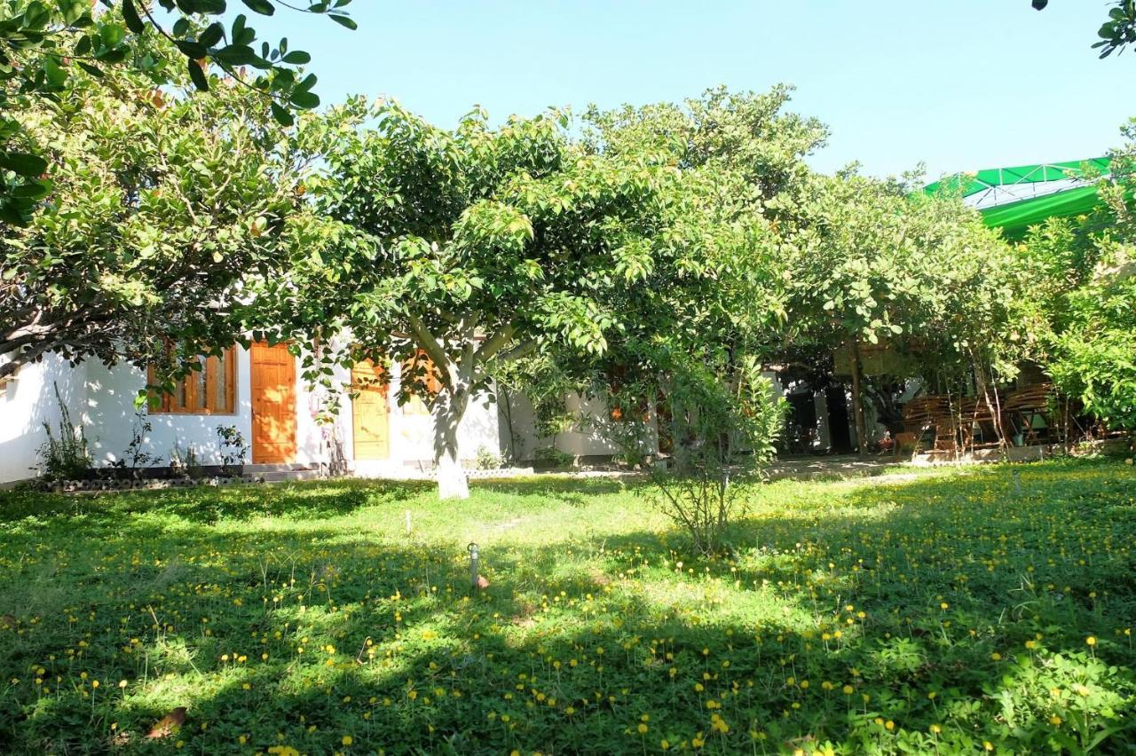 Dao Hoa Vang Villa Cam Ranh Esterno foto